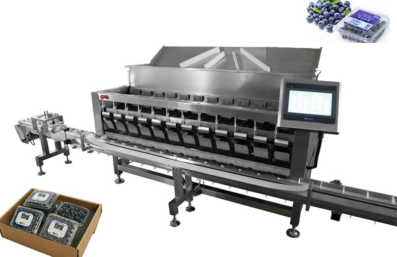 images/1742191416588blueberry packing equipment.jpg